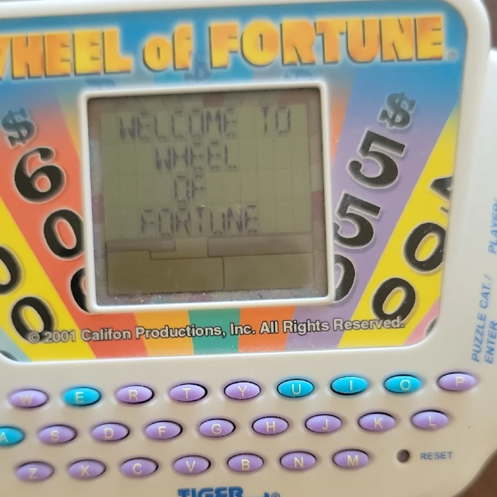 Tiger Electronics experience thrill